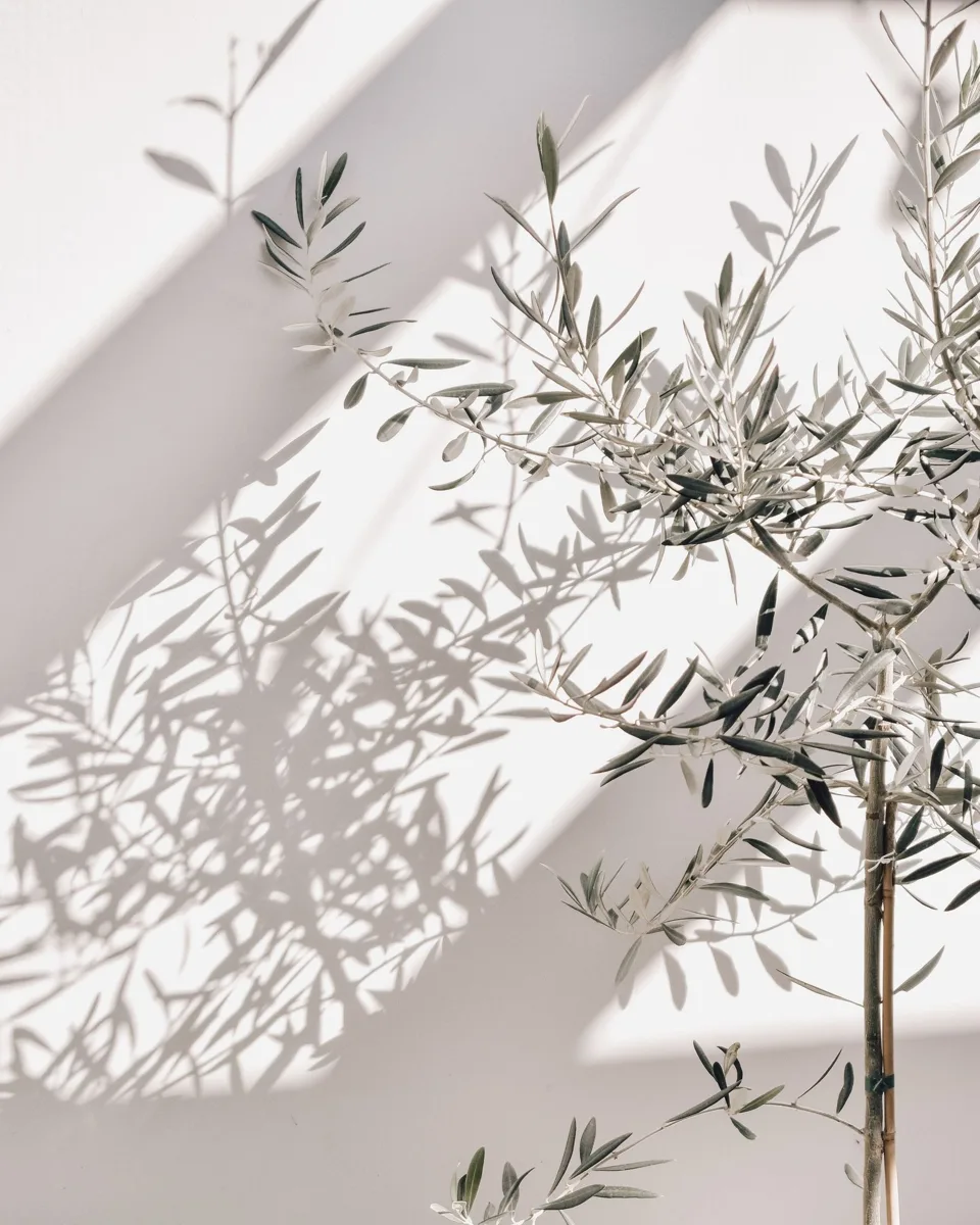 A wedding in Mallorca: when the best light falls