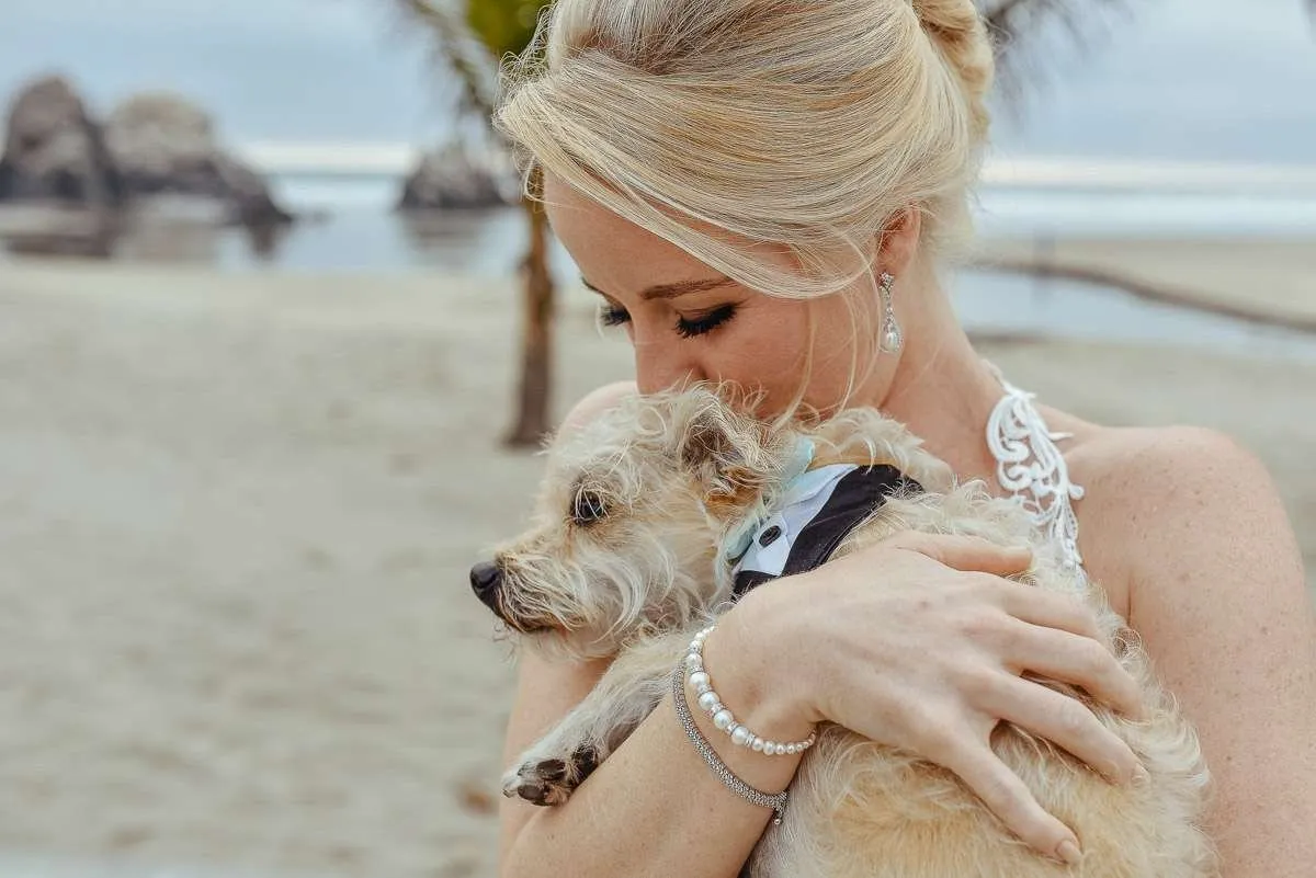 Bride holding a small dog on the beach