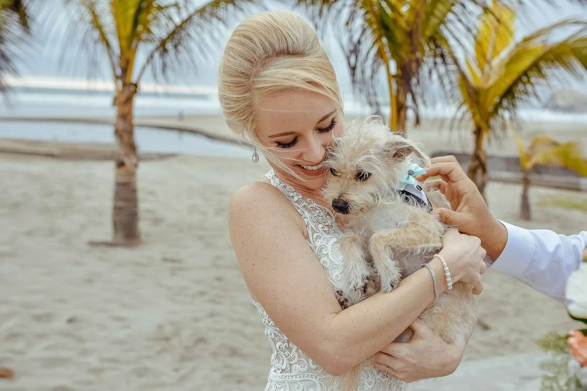 Bride in a white dress holding a small dog on the beach