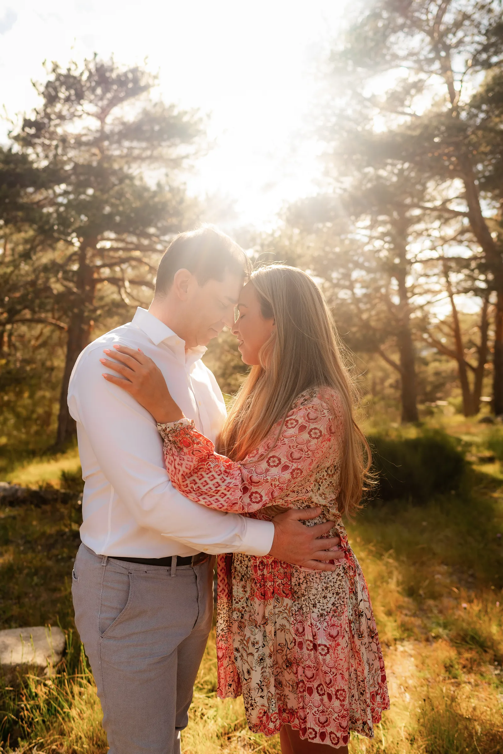 Couple embracing in backlight among pines