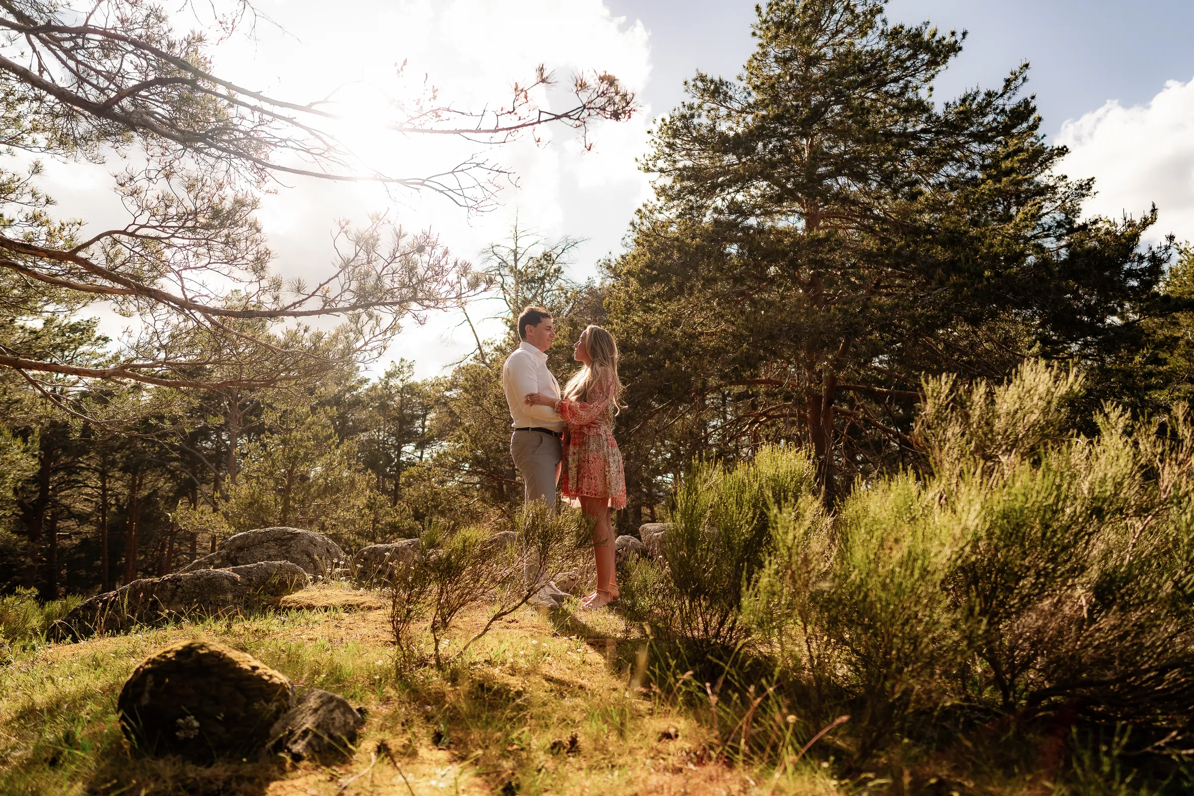 Couple among pines and scrub in the afternoon light