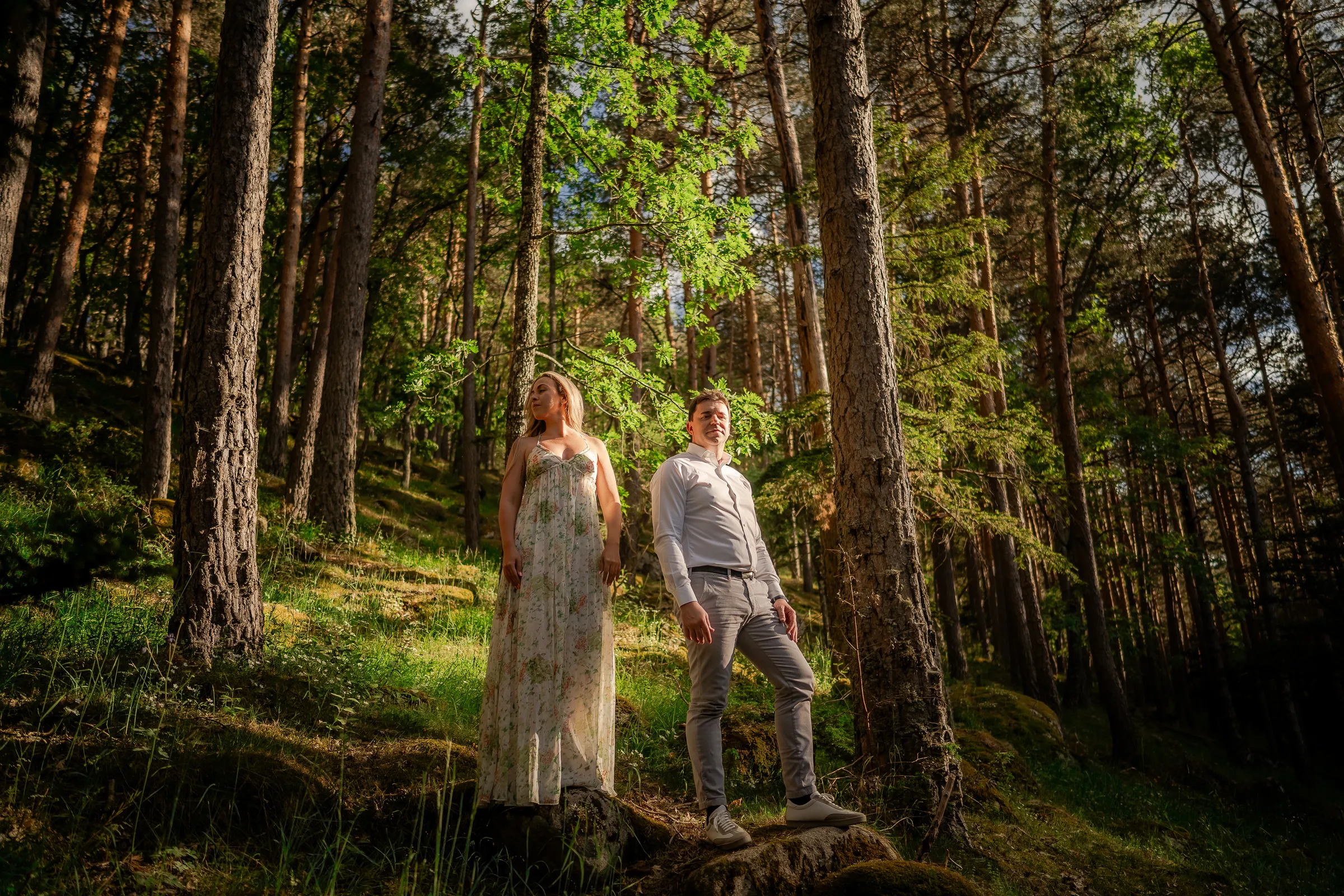 Pareja en un bosque de pinos, con luz verde y dorada entre los troncos