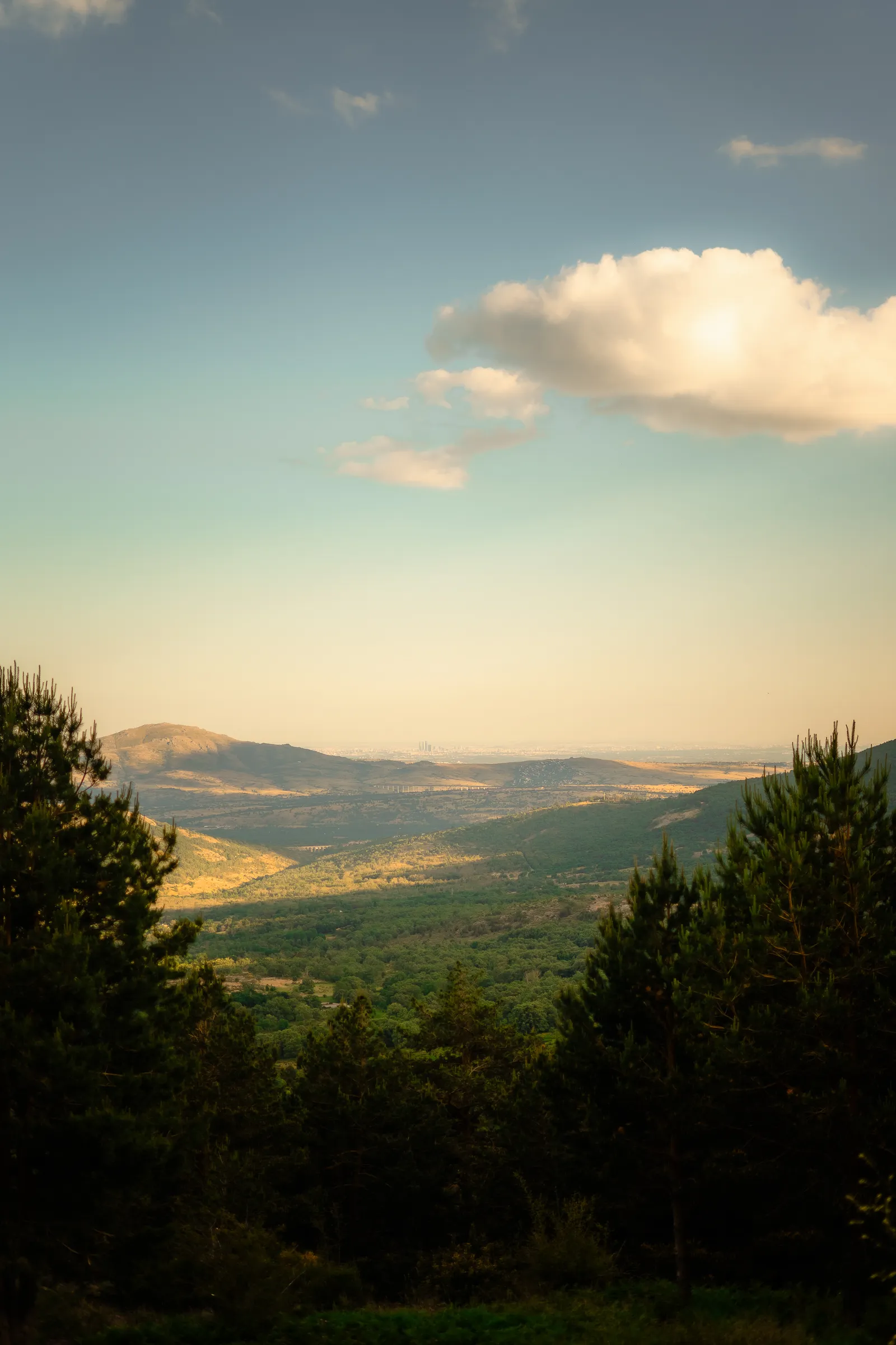 Sunset over hills and woodland, with the sun among the clouds
