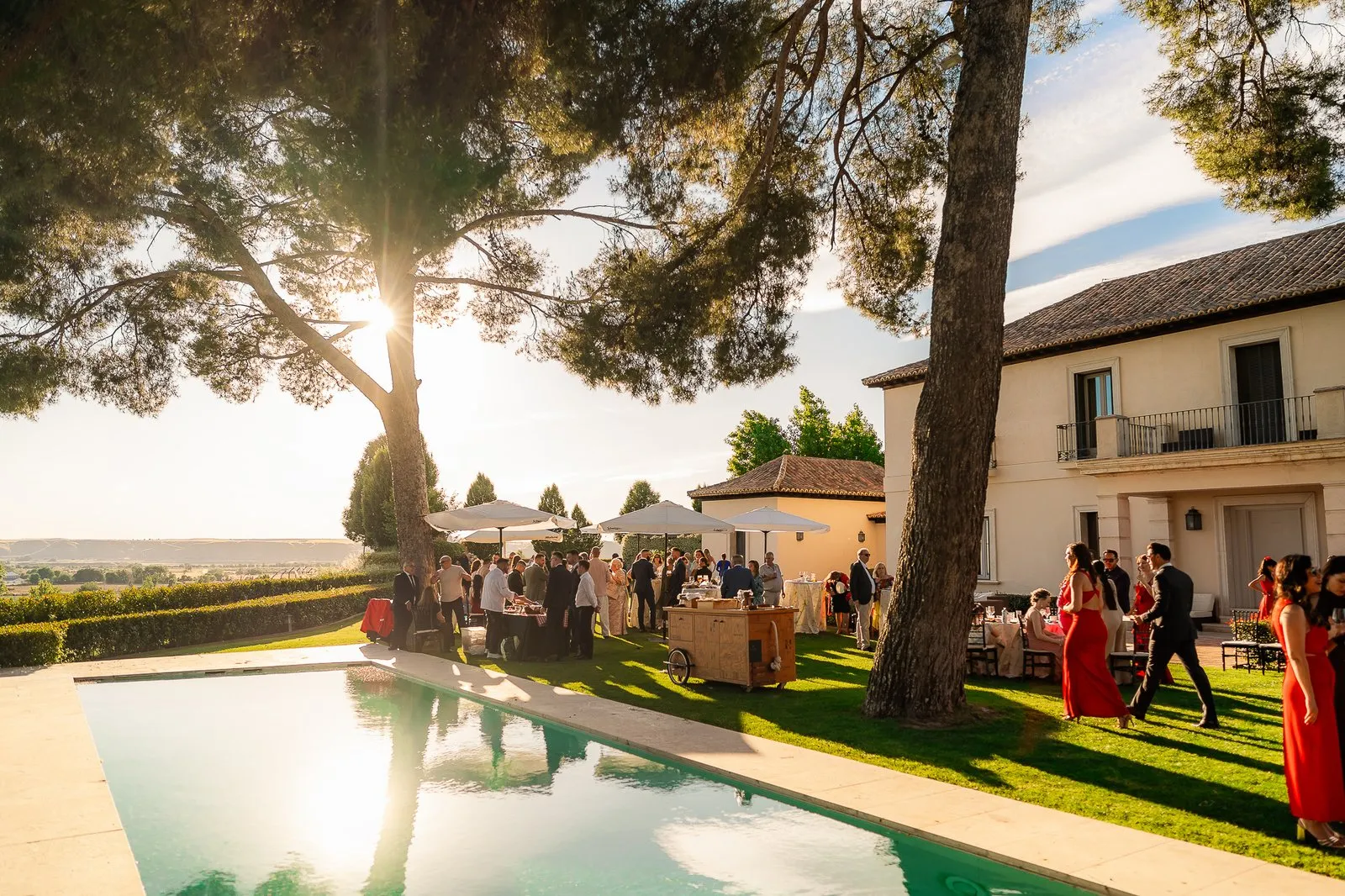 Country house with a terrace and pool among pines, backlit