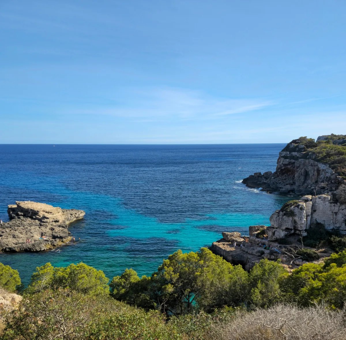 Una bahía de aguas azules y turquesa entre rocas y pinos, bajo un cielo despejado