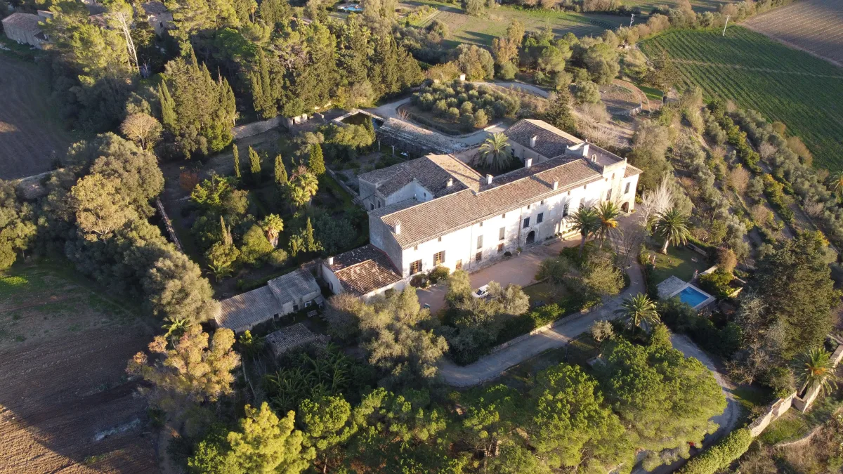 Aerial view of a white-walled country estate among olive and pine trees, taken from a drone